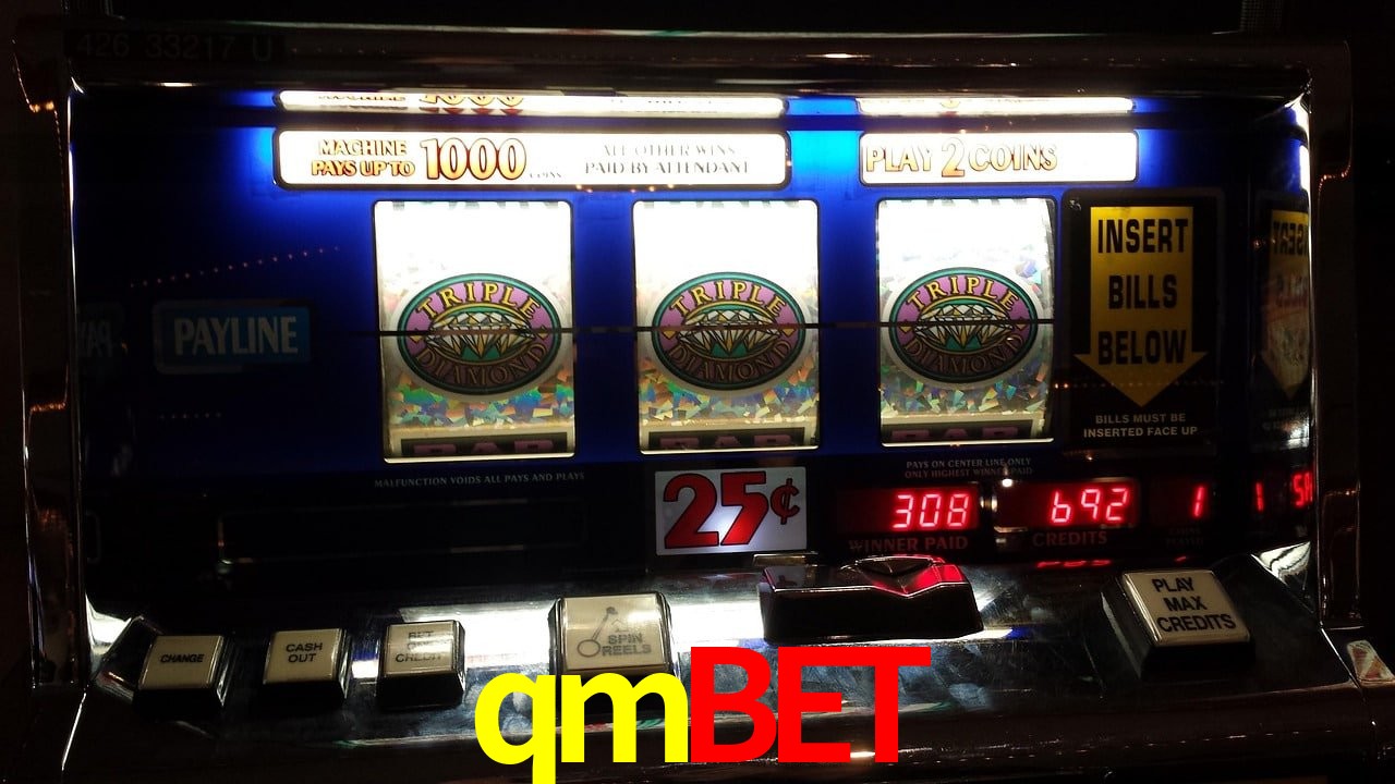 Statistics qmbet